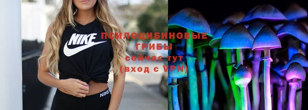 apvp Верхний Тагил