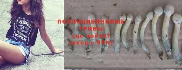 СК Ступино