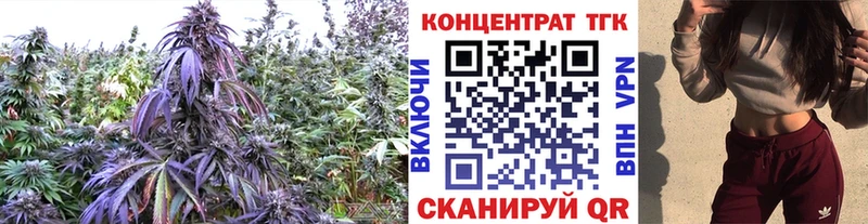 ТГК концентрат  Карабулак 