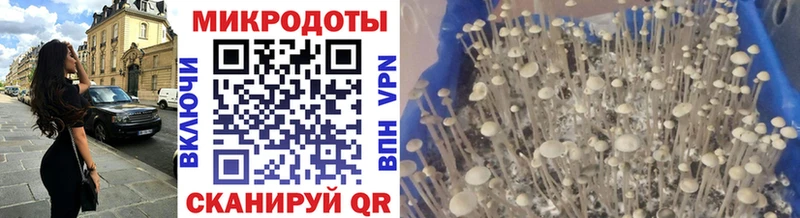 Галлюциногенные грибы Cubensis  kraken маркетплейс  Карабулак  shop телеграм  цены  
